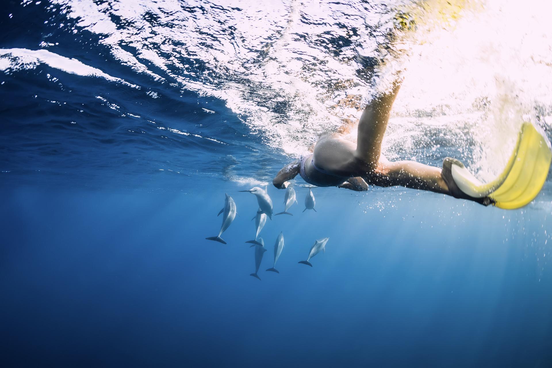 Waianae Dolphin Eco Tour