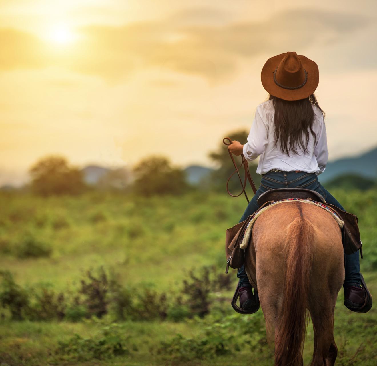 Jurassic Valley Horseback Riding Tour