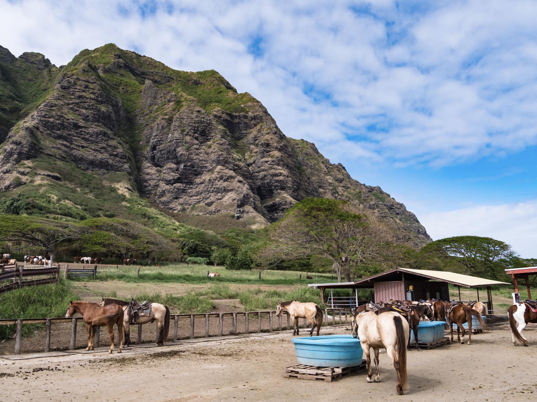 Jurassic Valley Horseback Riding Tour