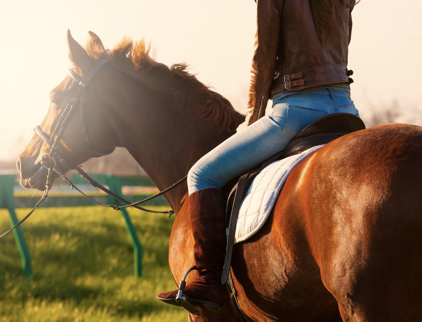 Jurassic Valley Horseback Riding Tour