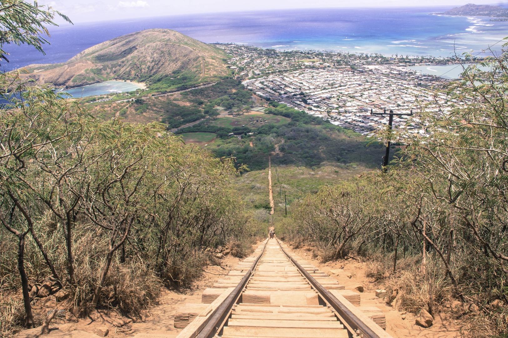 Oahu Mini Circle Island Tour