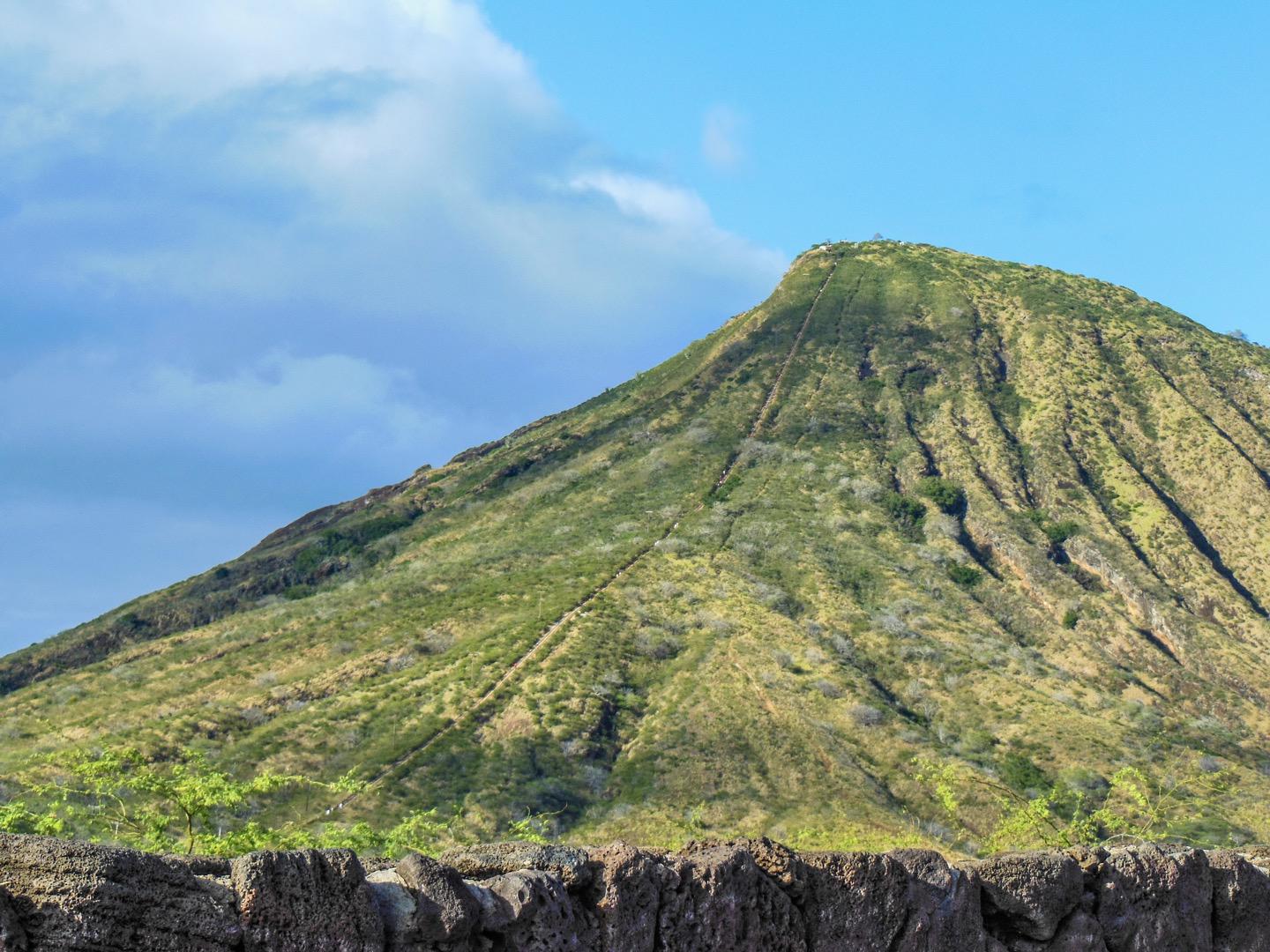 Oahu Mini Circle Island Tour