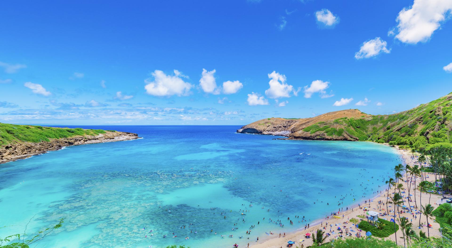 Oahu Mini Circle Island Tour