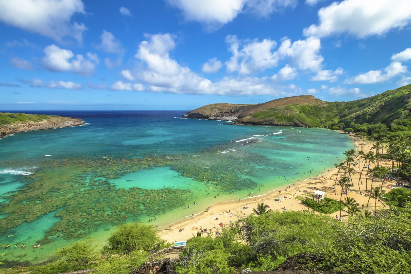 Oahu Mini Circle Island Tour