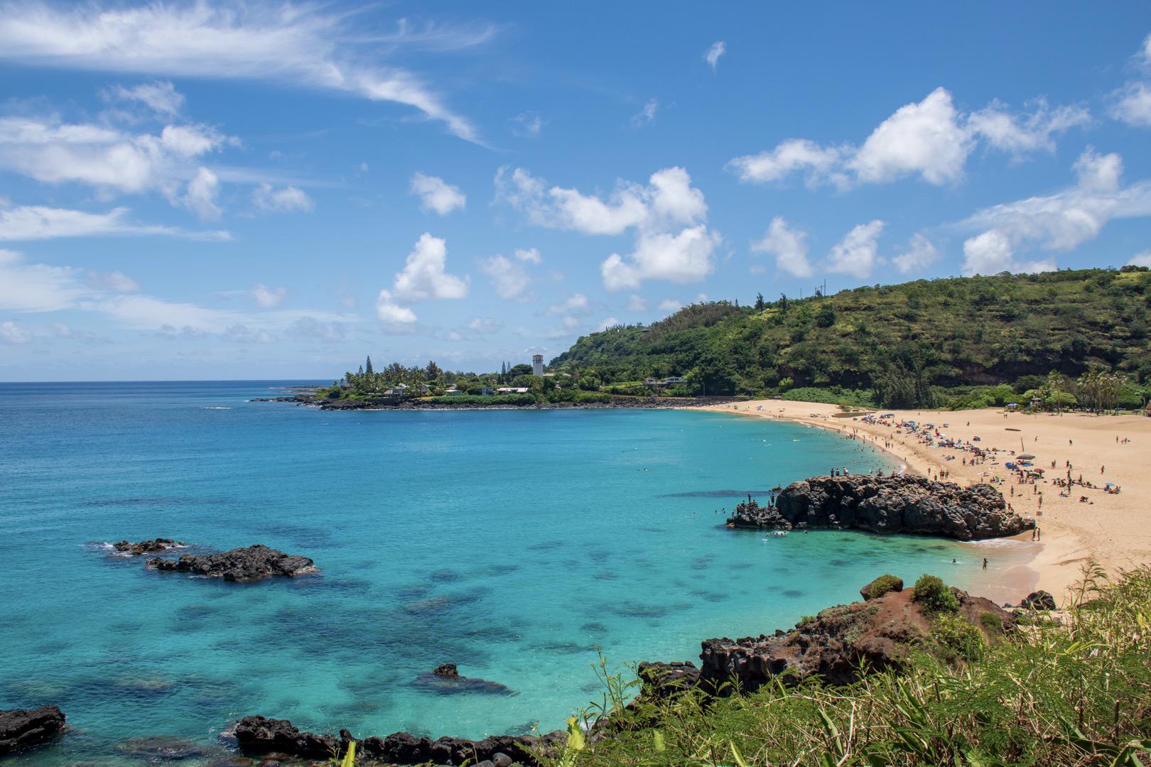 Best Things To Do At Waimea Bay Beach Park