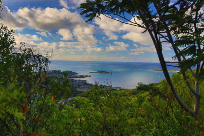 Friendship Garden Trail - A Hike Through Nature