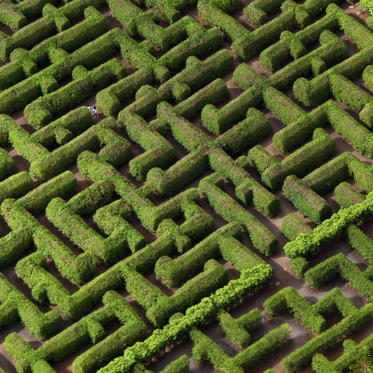 Pineapple Garden Maze - The World’s Largest Maze