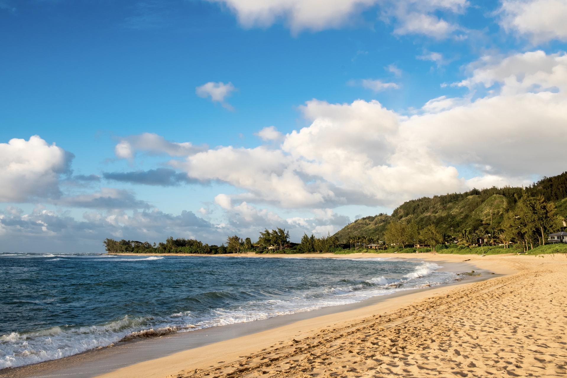 Plan Your Visit To Velzyland Beach