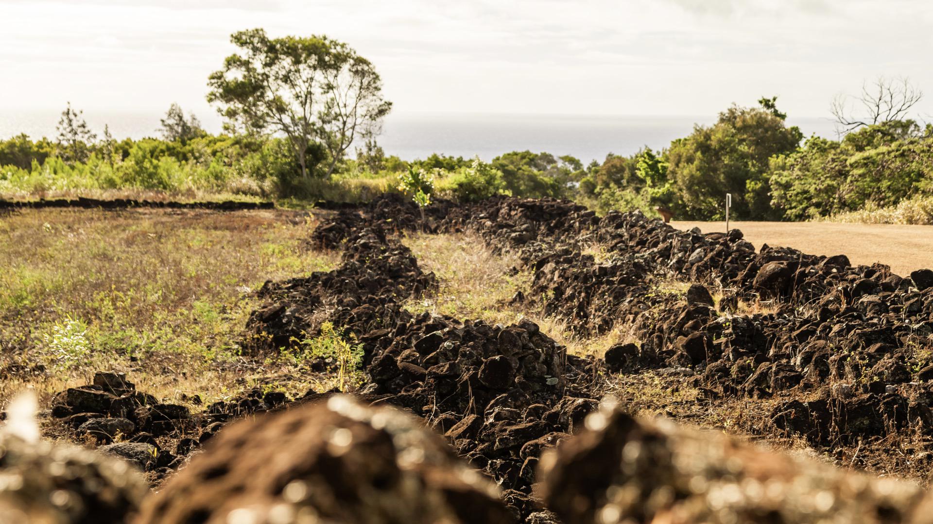 Sightseeing At Pu'u O Mahuka Heiau State Historic Site