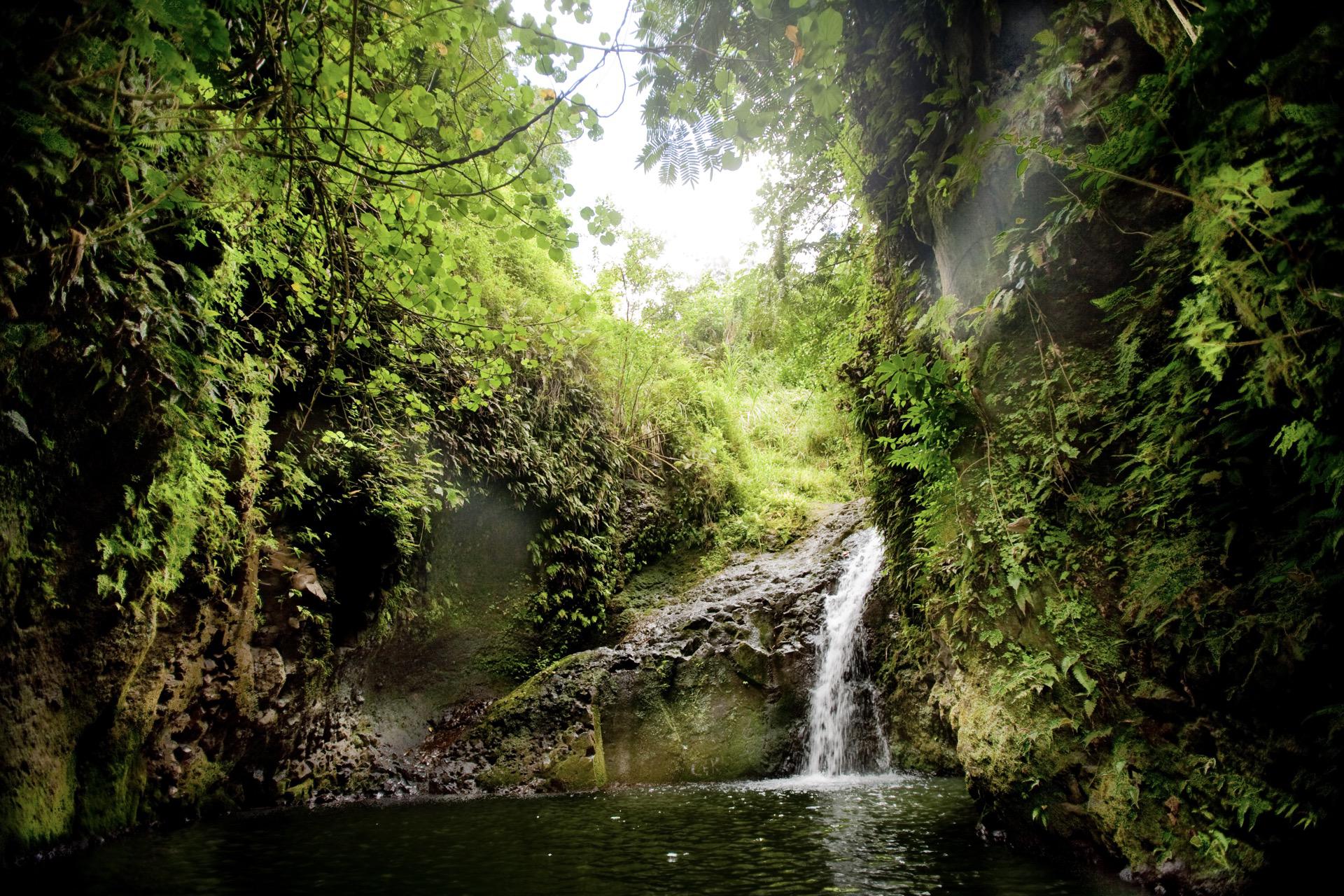 Things To Do At The Maunawaili Falls