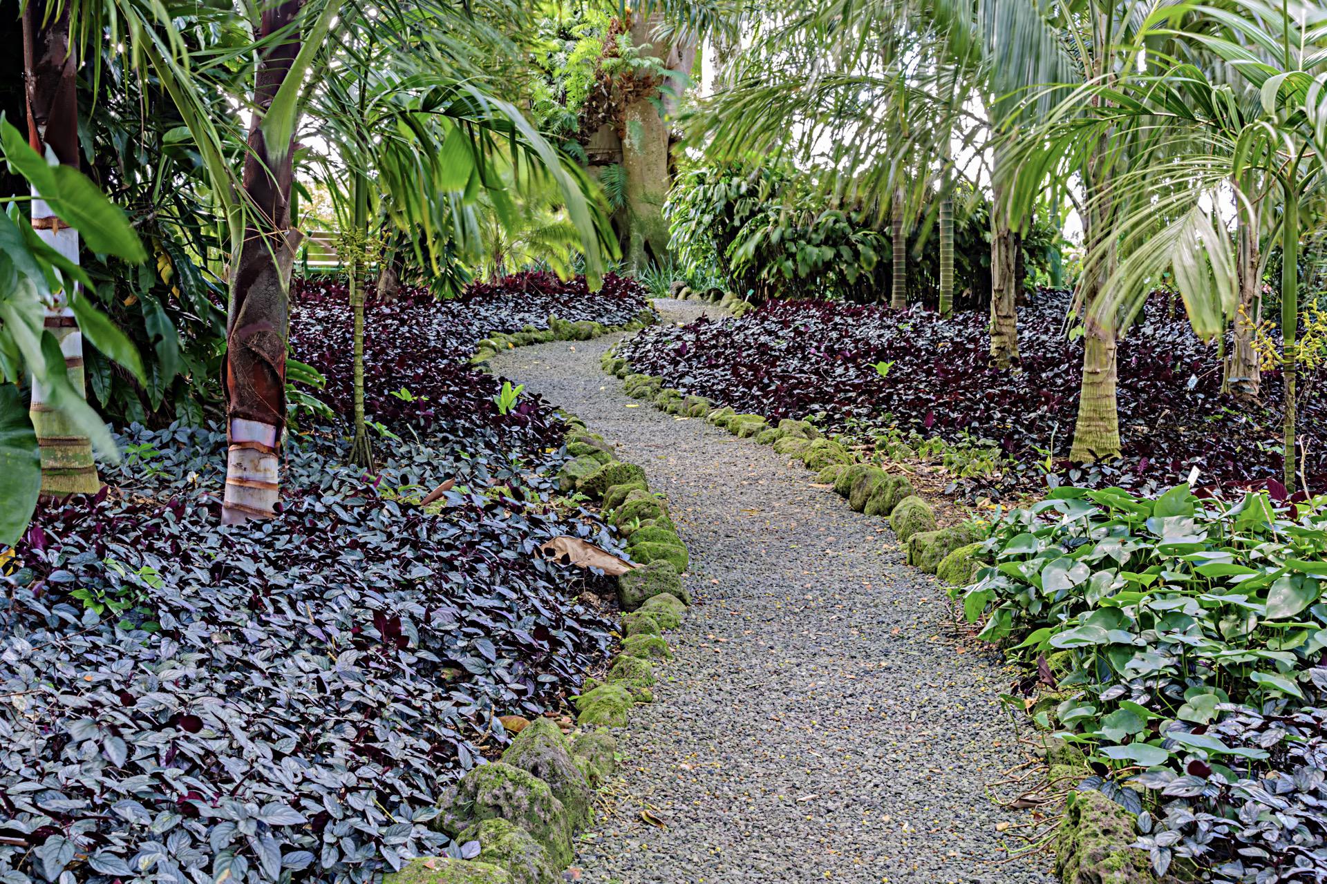 Wahiawā Botanical Garden - Home To Tropical Flowers