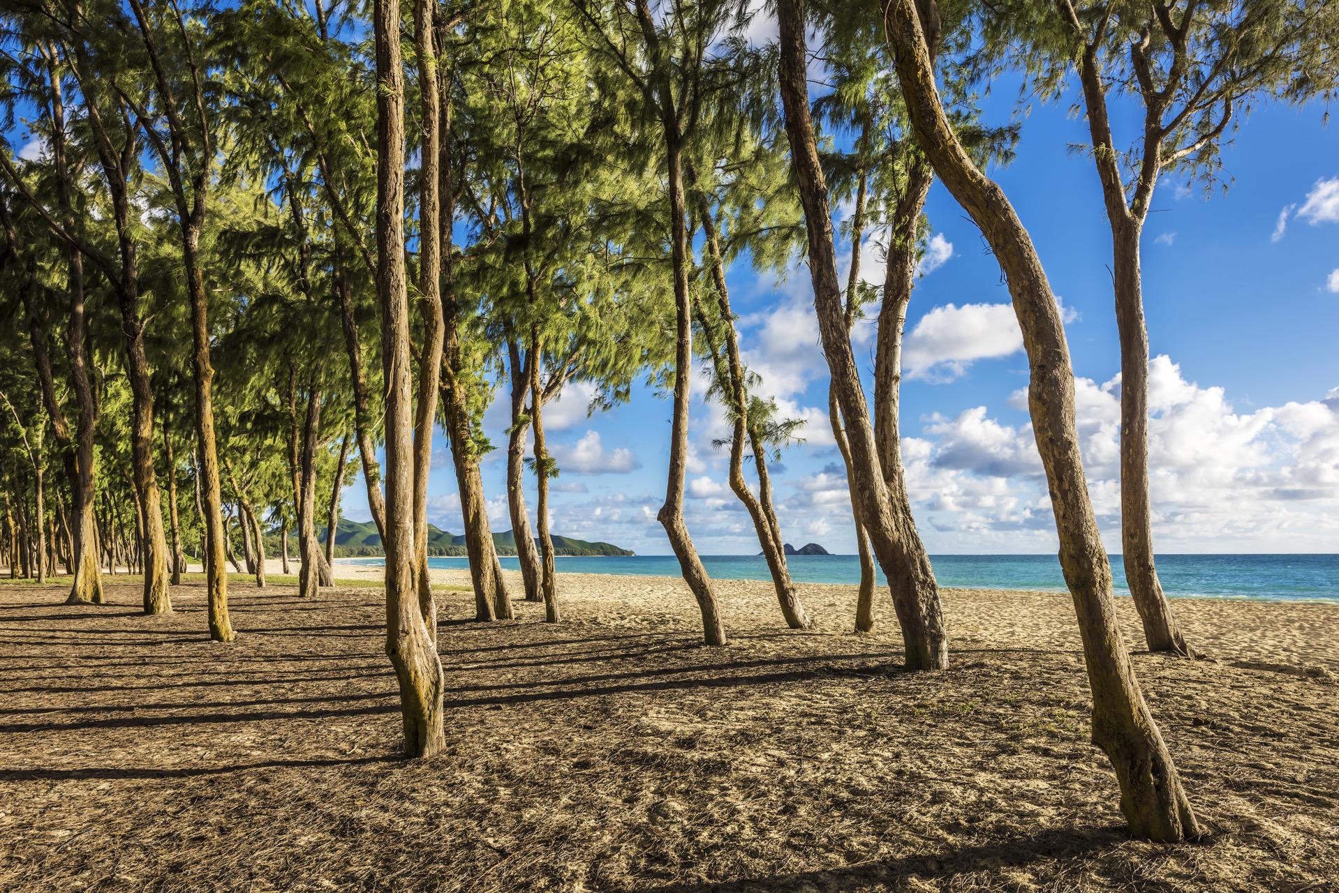 Waimanalo Beach - Windward Coast Oahu Beach